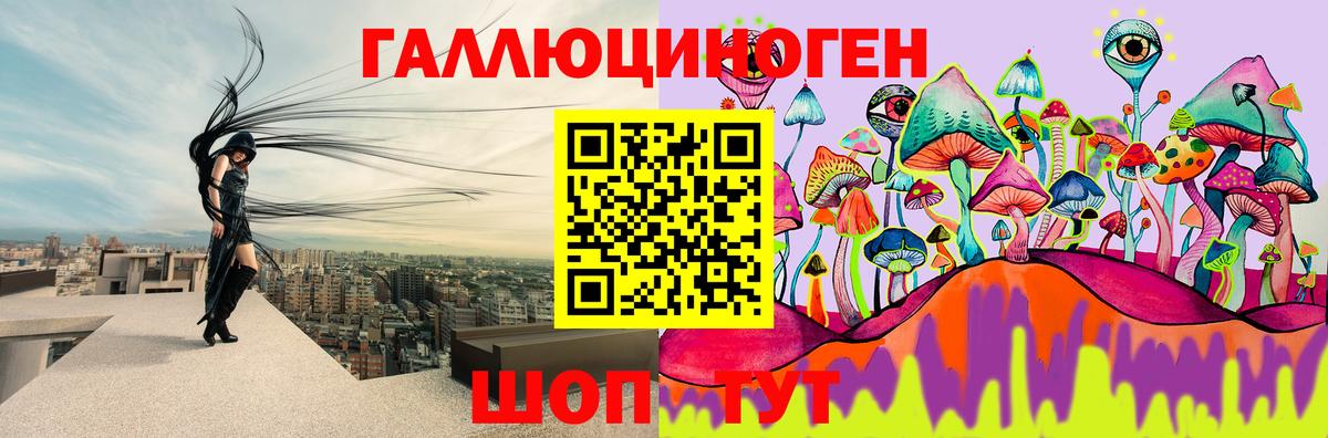 Псилоцибиновые грибы прущие грибы Менделеевск