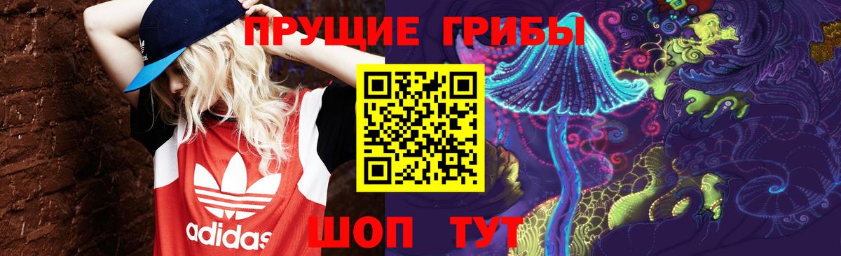 Менделеевск  Псилоцибиновые грибы Psilocybine cubensis  Вход с VPN 